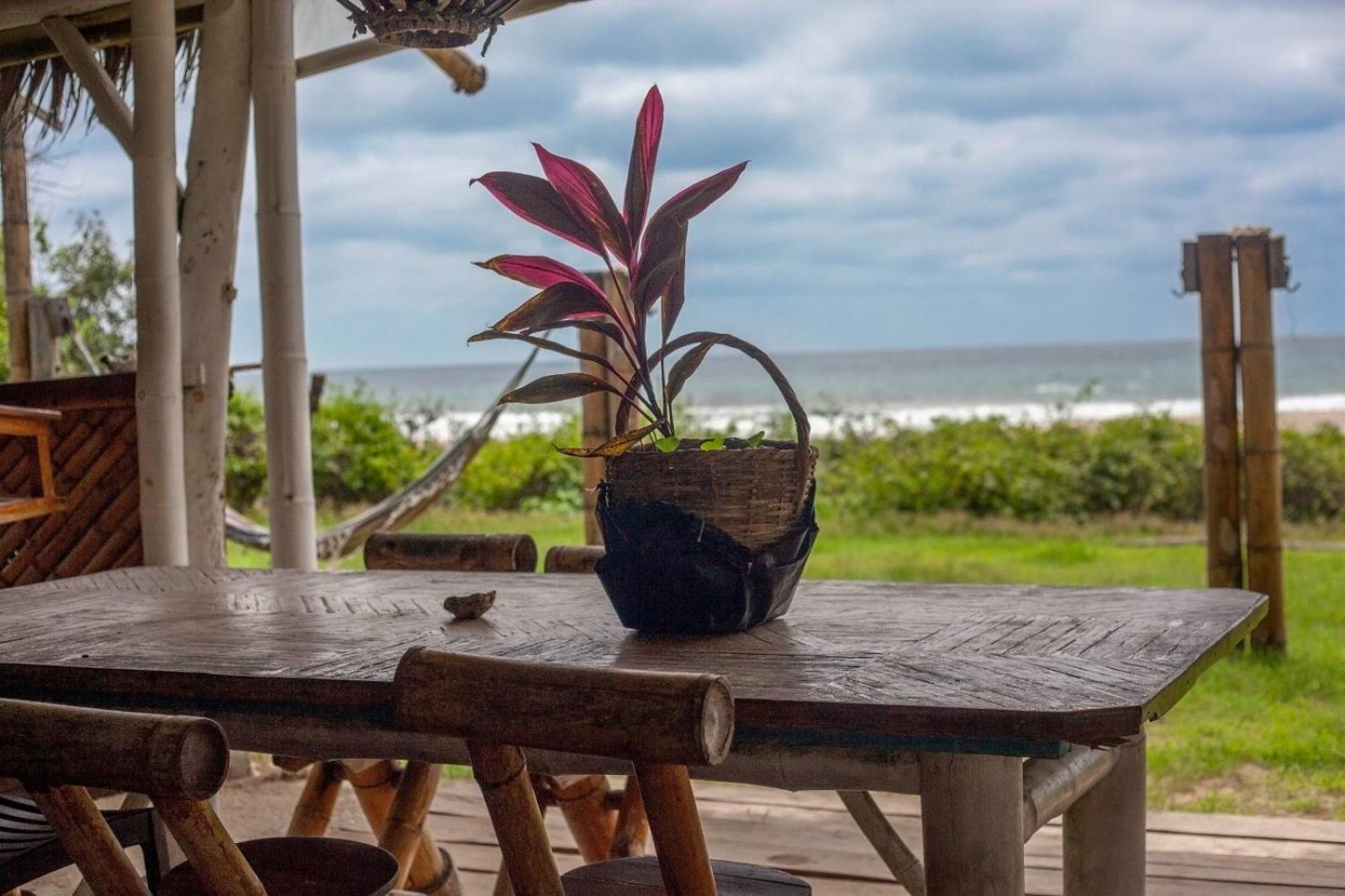 Kamala Surf & Backpacker Hostel Montañita Kültér fotó